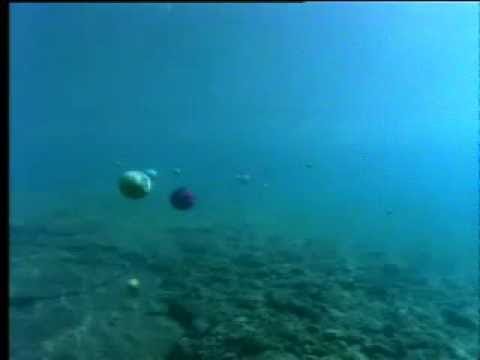 Planet video thumbnail