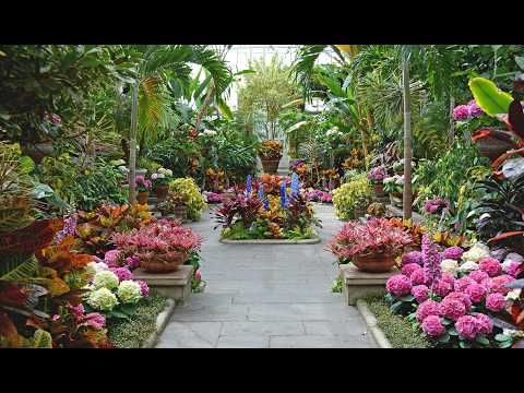 Secret Garden Escape |Planting Fields Arboretum with Classical Music for Relax, Study, Sleep & Focus