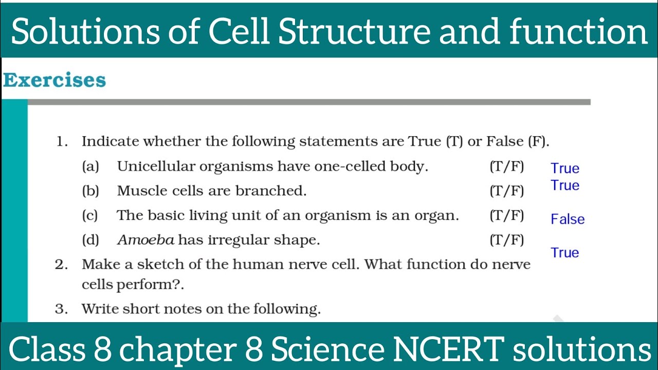 Solutions of Cell Structure and function class 8 chapter 8 Science NCERT solutions explanation