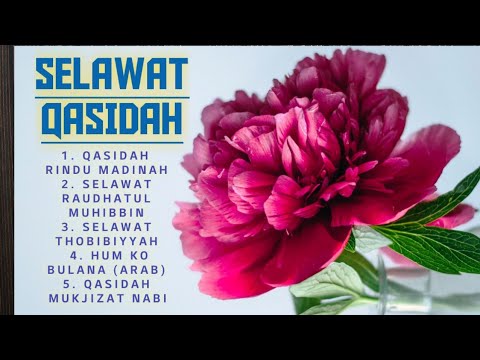 SELAWAT QASIDAH MERDU (TANPA IKLAN) - QASIDAH RINDU MADINAH | RAUDHATUL MUHIBBIN  [FULL ALBUM COVER]
