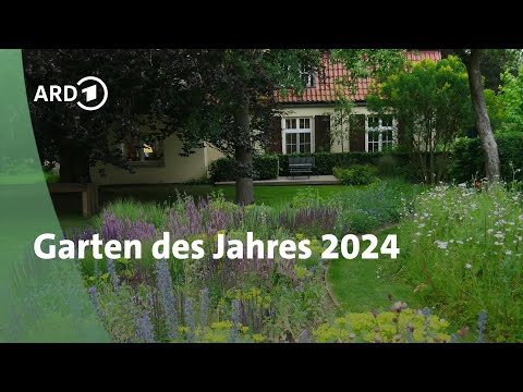 Dream Garden 2024: This is what the garden of the year looks like | MDR Garden