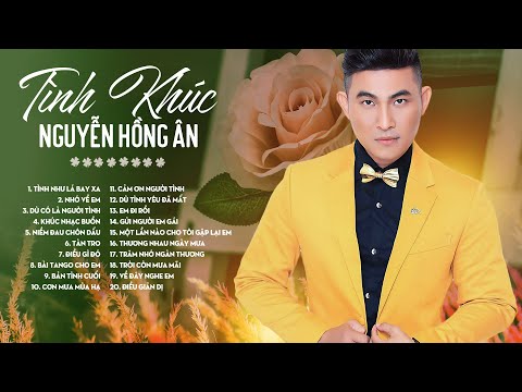Tình Khúc Bất Hủ - Nguyễn Hồng Ân | Những Bản Tình Ca Bất Hủ TÌNH NHƯ LÁ BAY XA Cảm Động Nhất