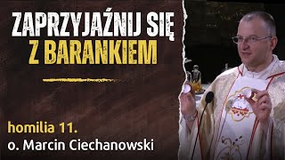11. "Zaprzyjaźnij się z Barankiem"  - o. Marcin Ciechanowski (Jasna Góra)