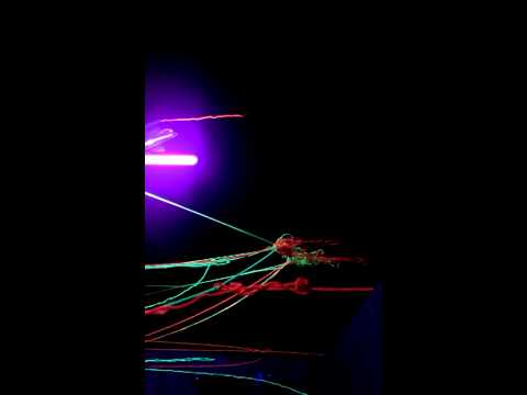 Dark Cygnus Private Forest ( New Year )