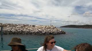 3 day activities with P & O Pacific Explorer on 06/11/2024. Little bit exploring Kangaroo Island.