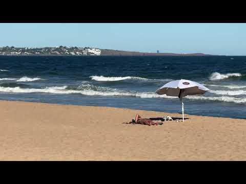 Ocean Park, Playa de Ocean Park, 20.02.2026