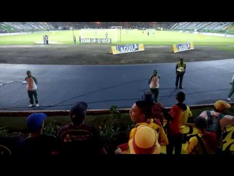 "Lobo sur Pereira" Barra: Lobo Sur &bull; Club: Pereira