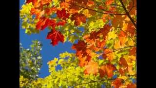 Indian Summer-Joe Walsh