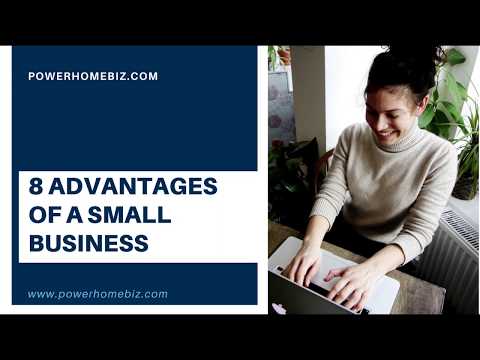 What are the Advantages of a Small Business vs Big Business?