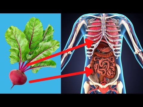 Das Rote Beete Geheimnis - wen retten sie und wie isst man sie? Eigenschaften