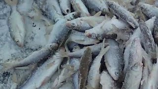 Рыбалка на голубом заливе казань