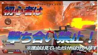 【APEX LEGENDS】#11 初心者は撃ち合い厳禁！虎の威を借る狐、タイマンはやっぱりクソザコでした。。