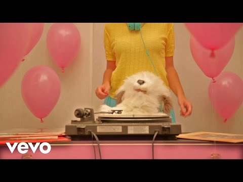 Fitness Forever - Il Cane Ciuff