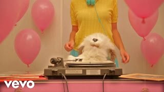 Fitness Forever - Il Cane Ciuff