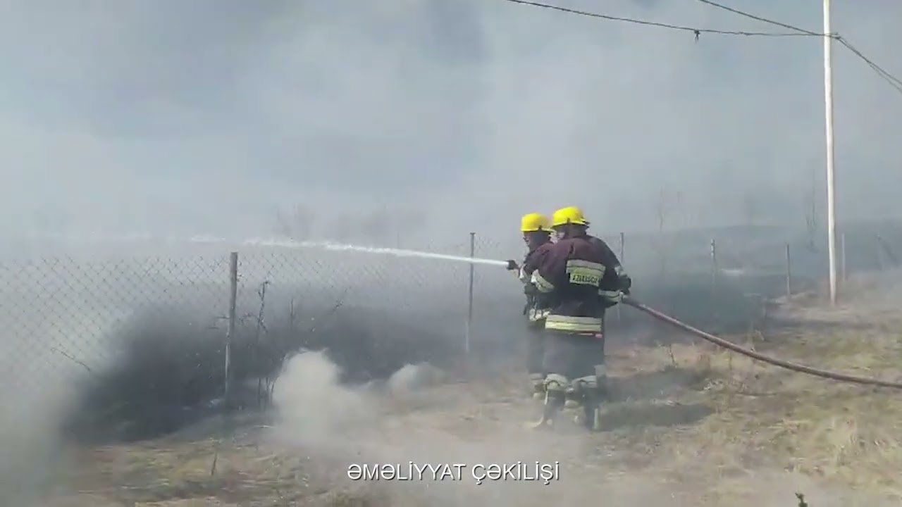 Gədəbəyin Qızıl qala meşəliyində yanğın olub VİDEO