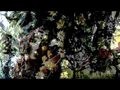 Ye Banks and Braes - Fatal Hunt