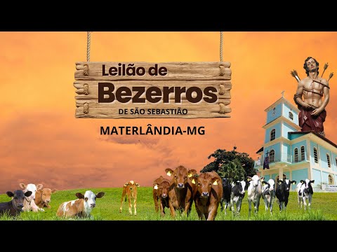 LEILÃO DE BEZERROS DE SÃO SEBASTIÃO (MATERlÂNDIA-MG) 25/01/2026