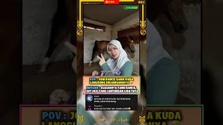Download lagu Kudanya baik ya mp3