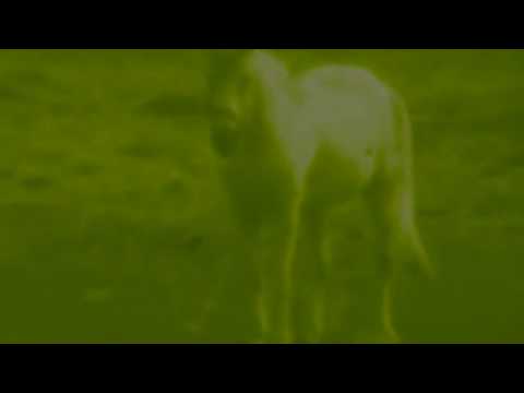 No_4mat - Secret Sense