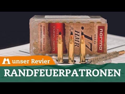 Fuchsjagd – Randfeuerkaliber im Praxis-Check | Einsatzzweck & Reichweite | unser Revier | .17 HMR