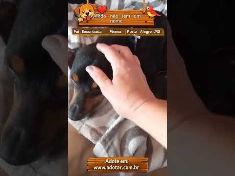Vídeo de Ainda não tem um nome