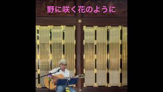 野に咲く花のように#ダカーポ# #歌ってみた #ギター ＃フルート #弾き語り #寺ライブ