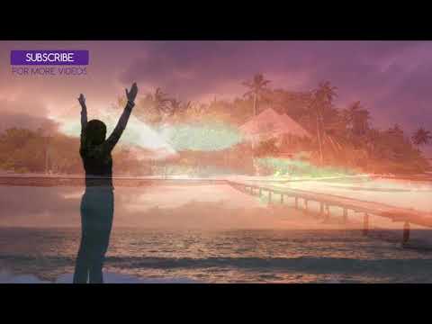 10 Hours of Cat Music OUR LONGEST YET!