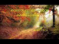 ROAD NATURE VIDEOS
