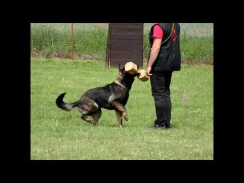 Meggie z Vodňanské doliny