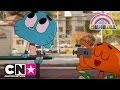 Hallo Hector | De Wonderlijke Wereld van Gumball | Cartoon Network
