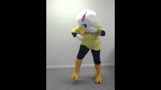 Chicken Dances to Summertime Blues