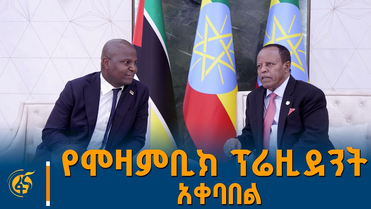 የሞዛምቢክ ፕሬዚደንት አቀባበል