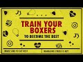 Vidéo de gameplay de World Championship Boxing Manager 2  PC