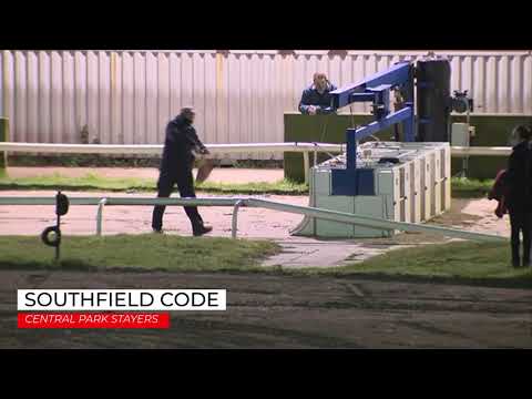 Southfield Code - Central Park Stayers