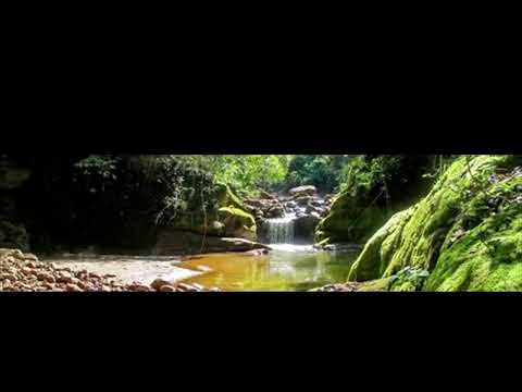GENTE DE PERICO