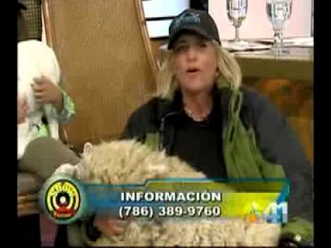 Teresa Molinos en El show de Fernando Hidalgo