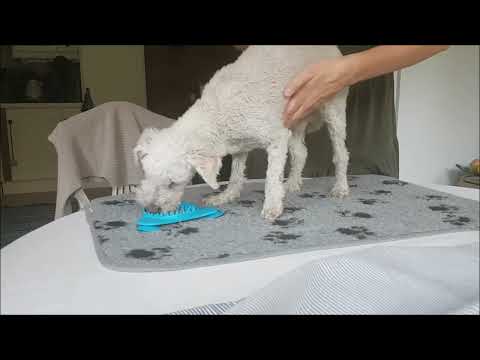 Klinisk undersökning