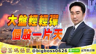 【大戶羅盤籌碼動能】 #謝宗霖 0910，大盤輕輕彈 個股一片天 (圖)
