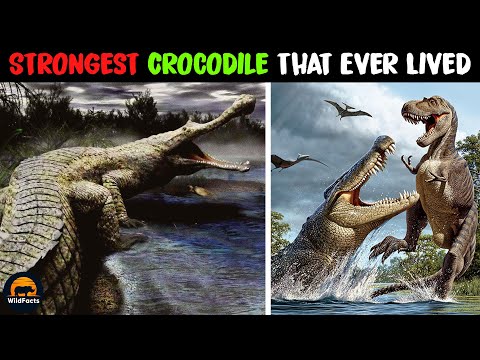 Sarcosuchus - The Biggest and Most Powerful Crocodile That Ever Lived