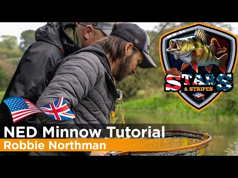 Perch Tutorial, NED Minnow,  Ned Rig - Stars and Stripes Episode 3