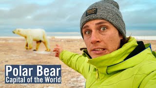 Running into WILD POLAR BEARS in Canada!
