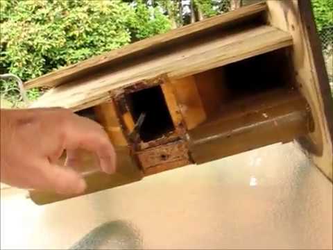 Inside a Victrola Orthophonic Re-Entrant Horn