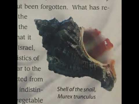 Techelet: an open letter to rabbi ben tzion halberstam of Lakewood