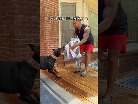 Always a challenge 😂 #shorts #reels #explore