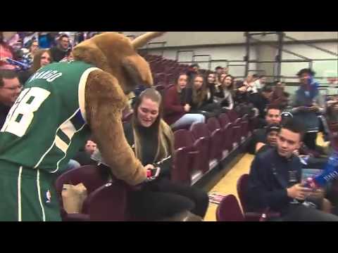 Samsung Stitch Video - Edmonton