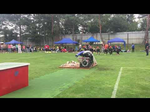 12.8. 2017 Pohárová súťaž Petrová Ves(DHZ Prievaly (A) prvý pokus)