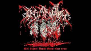 Morbid Lust - INSANITY