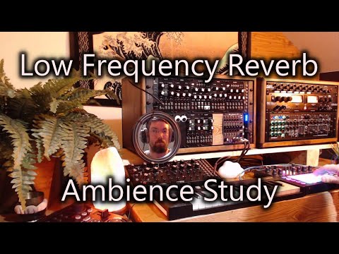 Mr. Basic LIVE: Bass Sounds For Ears