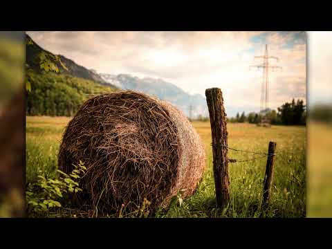 We will be Unbreakable – Walking Hearts ft Eli V