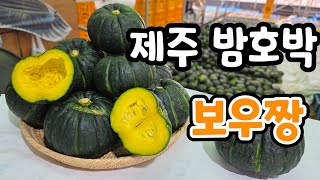 보우짱 미니단호박 실시간 생방송 (제주 미니 단호박)